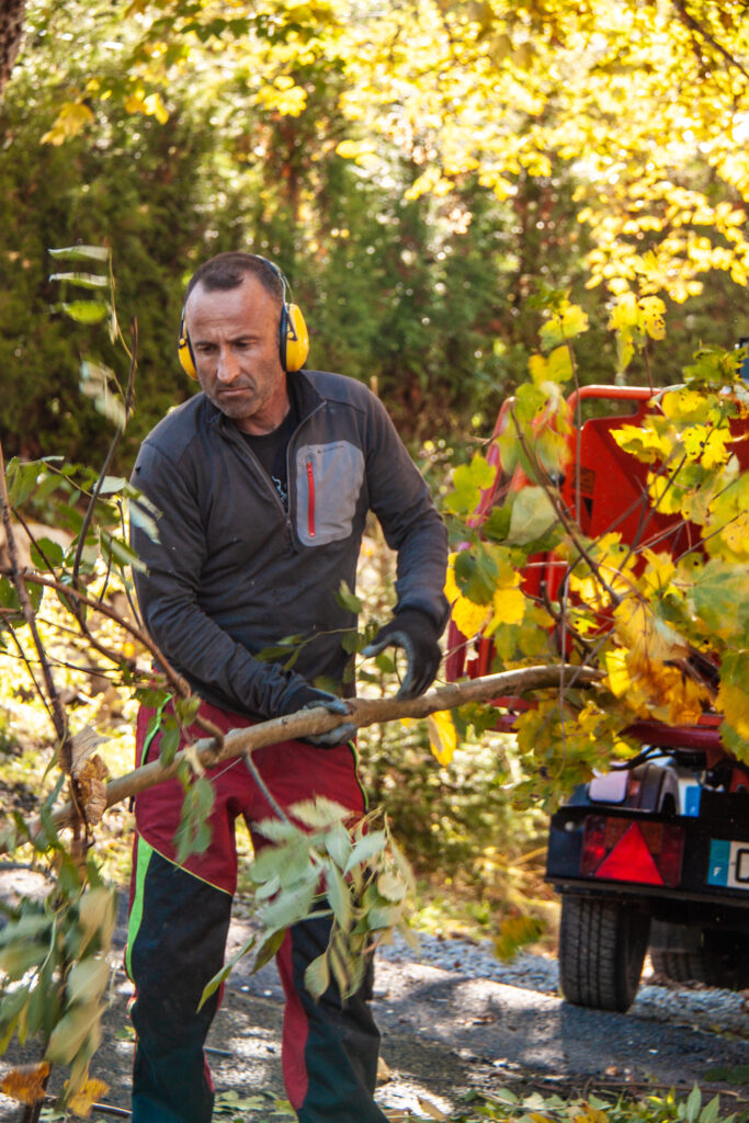 osmose-elagage-abattage-haubenage-taille-traitement-arboriste-grimpeur-arbre-soin osmose-elagage-abattage-haubenage-taille-traitement-arboriste-grimpeur-arbre-soin
