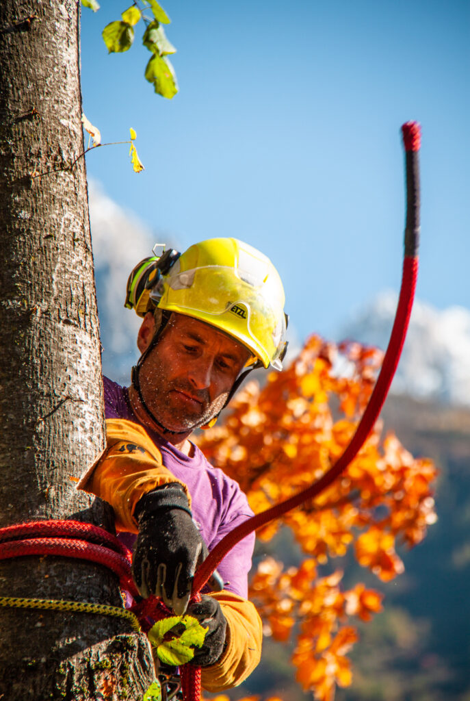 osmose-elagage-abattage-haubenage-taille-traitement-arboriste-grimpeur-arbre-soin osmose-elagage-abattage-haubenage-taille-traitement-arboriste-grimpeur-arbre-soin