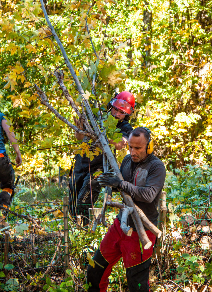 @GarnomoStudioxPIGN-14