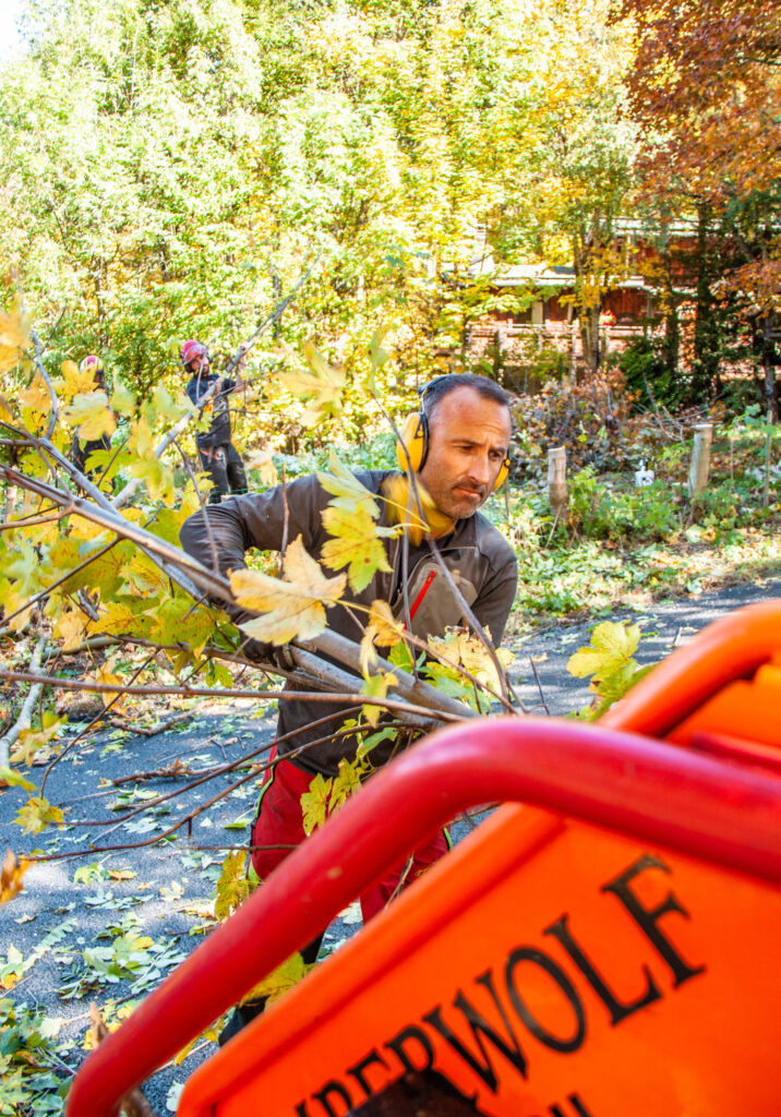 @GarnomoStudioxPIGN-15