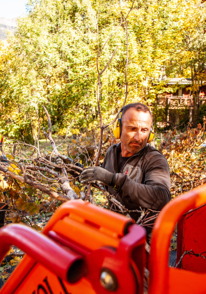 @GarnomoStudioxPIGN-18