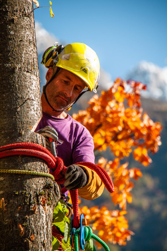 @GarnomoStudioxPIGN-26