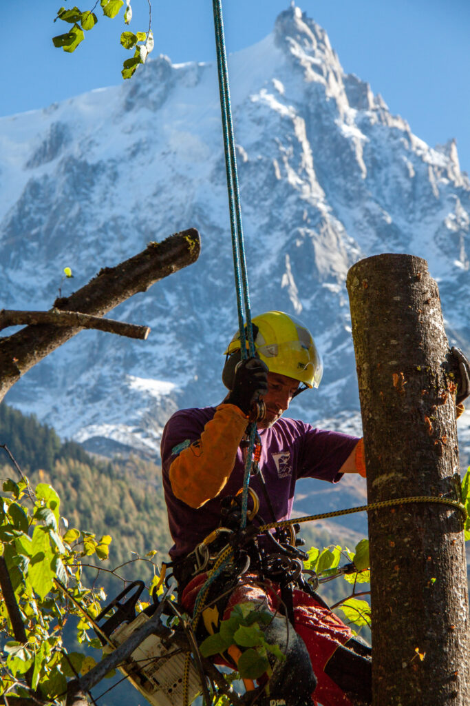 @GarnomoStudioxPIGN-35