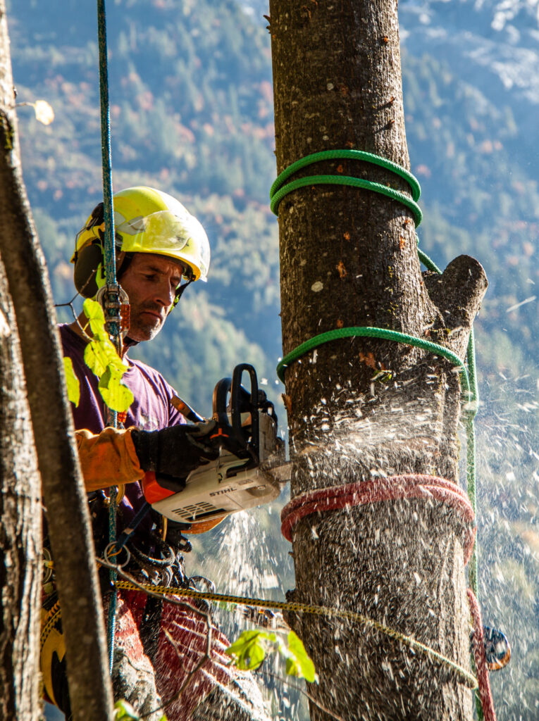 @GarnomoStudioxPIGN-40