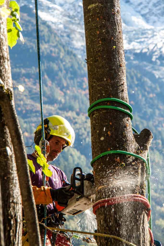 @GarnomoStudioxPIGN-41