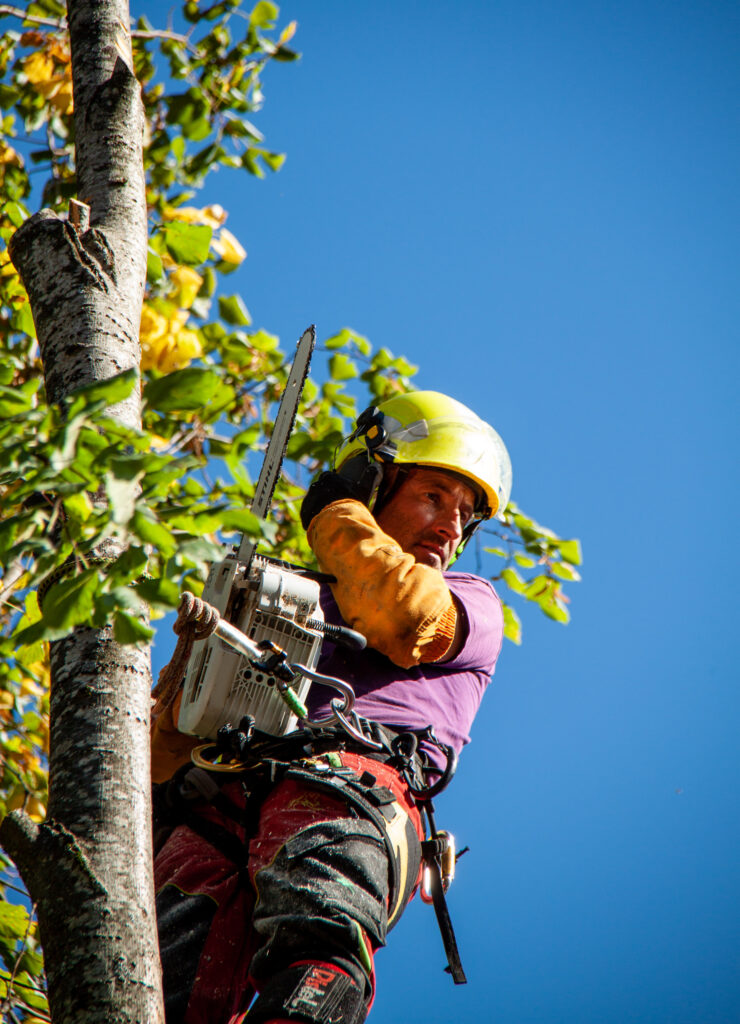 @GarnomoStudioxPIGN-45