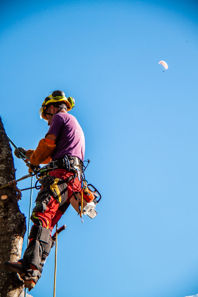 @GarnomoStudioxPIGN-46