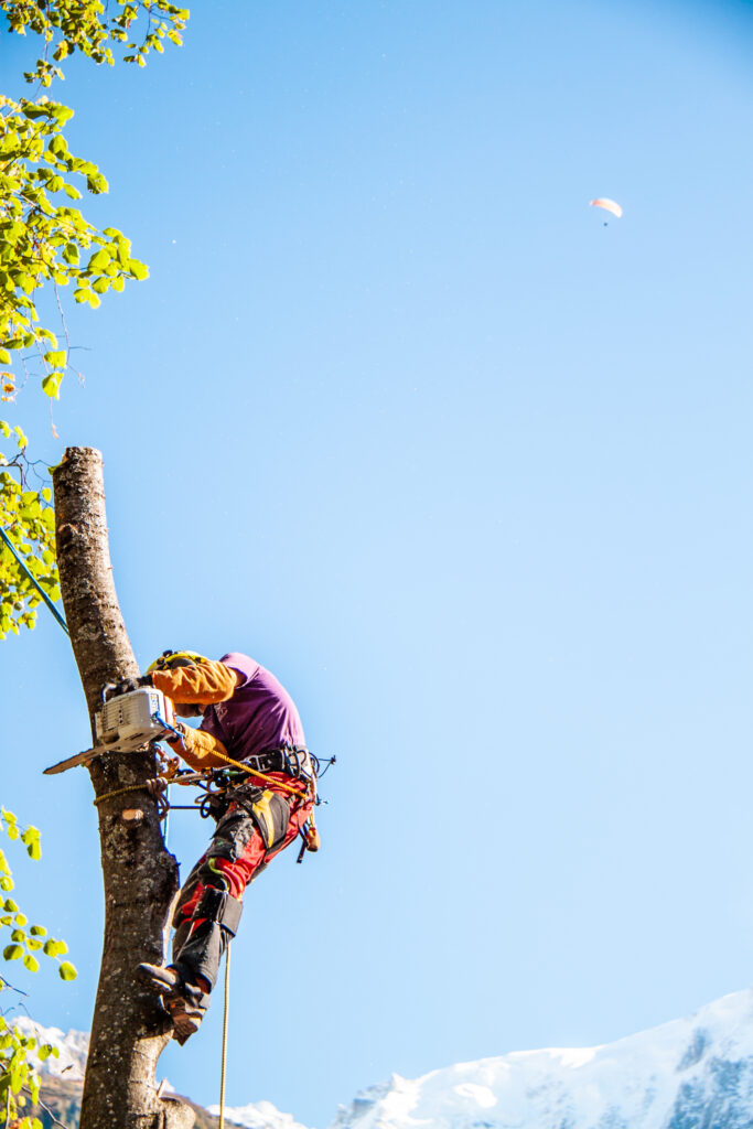 @GarnomoStudioxPIGN-47