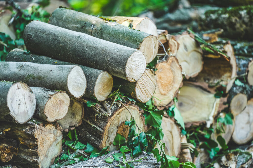 @Garnomo-Osmose-Elagage5