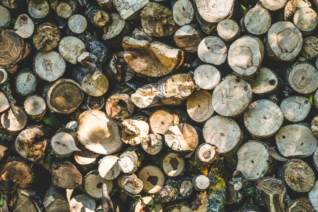 la taille des arbres et les déchets verts